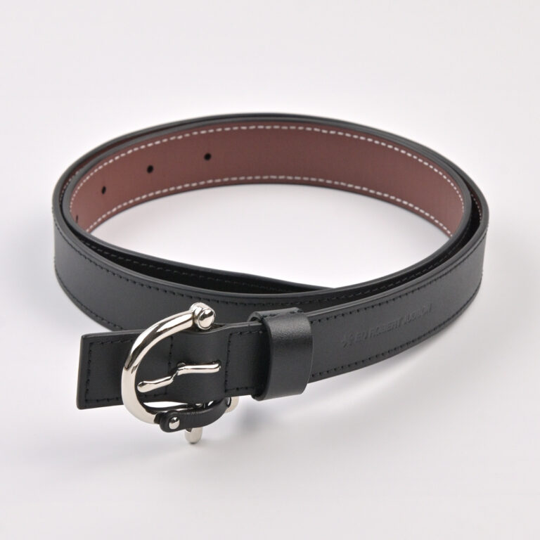 S25SED-31BK01